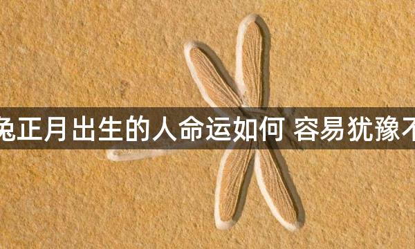 属兔正月出生的人命运如何 容易犹豫不决