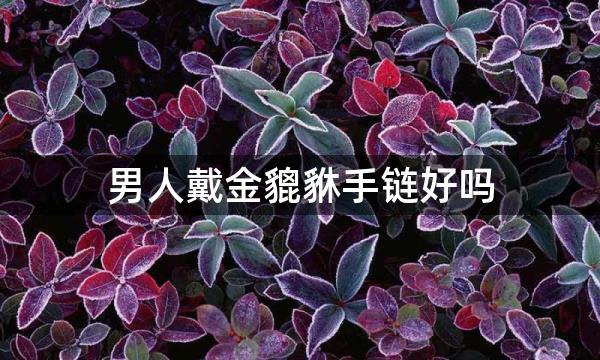 男人戴金貔貅手链好吗