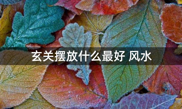 玄关摆放什么最好 风水