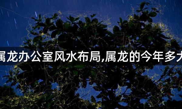 属龙办公室风水布局,属龙的今年多大