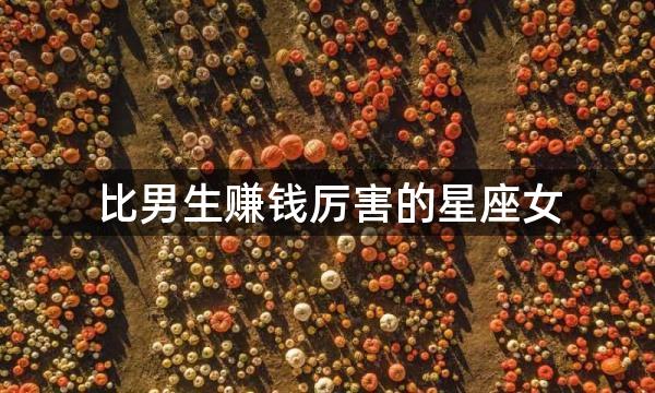 比男生赚钱厉害的星座女