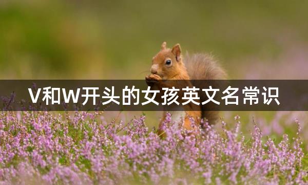 V和W开头的女孩英文名常识