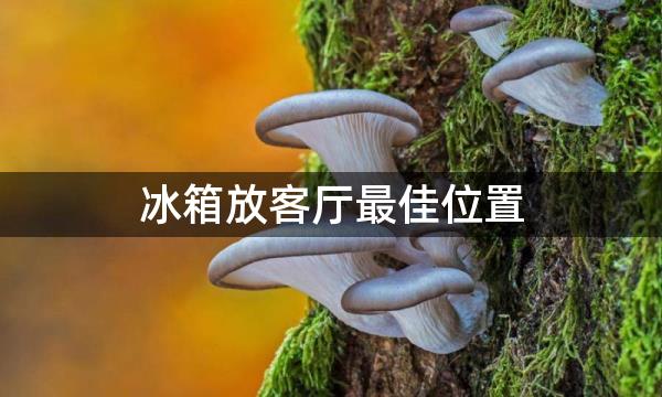 冰箱放客厅最佳位置