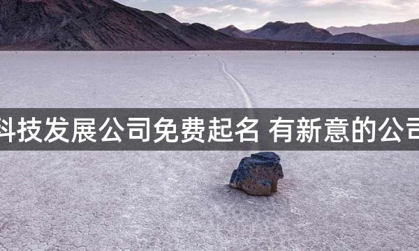 信息科技发展公司免费起名 有新意的公司名字