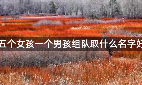 五个女孩一个男孩组队取什么名字好