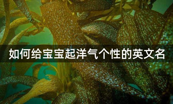 如何给宝宝起洋气个性的英文名