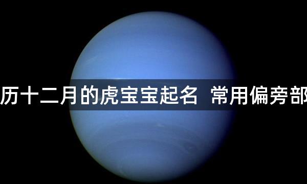 农历十二月的虎宝宝起名 常用偏旁部首