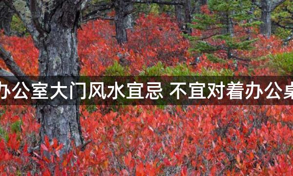 办公室大门风水宜忌 不宜对着办公桌