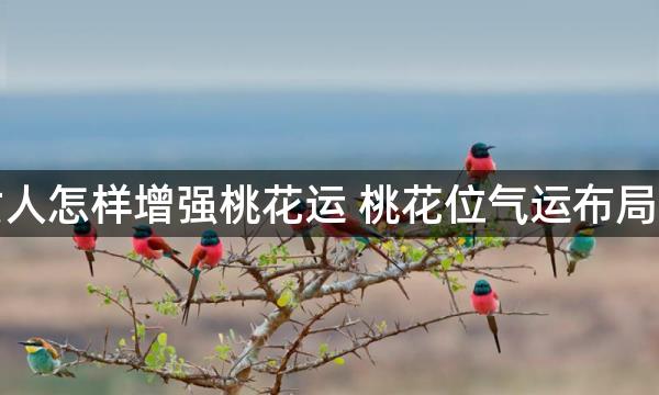 单身女人怎样增强桃花运 桃花位气运布局招桃花