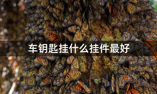 车钥匙挂什么挂件最好