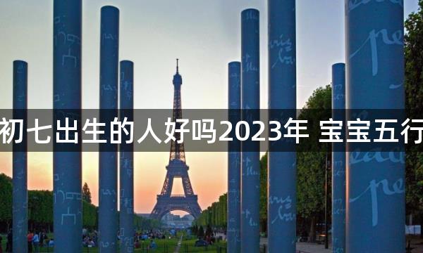 正月初七出生的人好吗2023年 宝宝五行分析