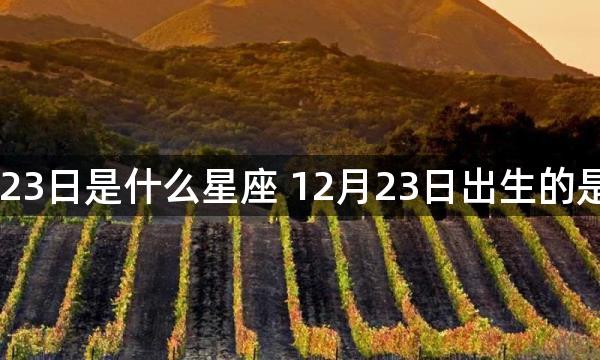 阳历12月23日是什么星座 12月23日出生的是哪个星座