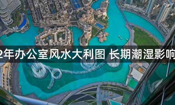 2022年办公室风水大利图 长期潮湿影响风水