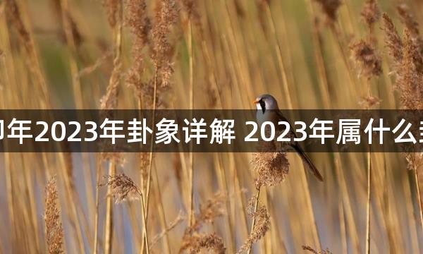 癸卯年2023年卦象详解 2023年属什么卦象