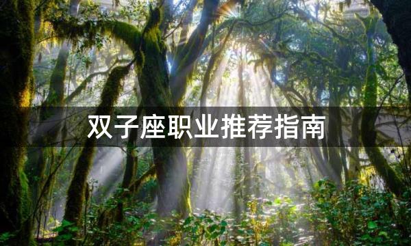 双子座职业推荐指南，双子座适合找什么工作