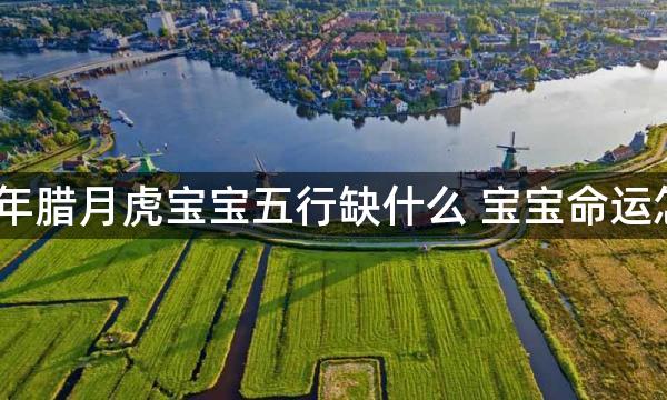 2022年腊月虎宝宝五行缺什么 宝宝命运怎么样