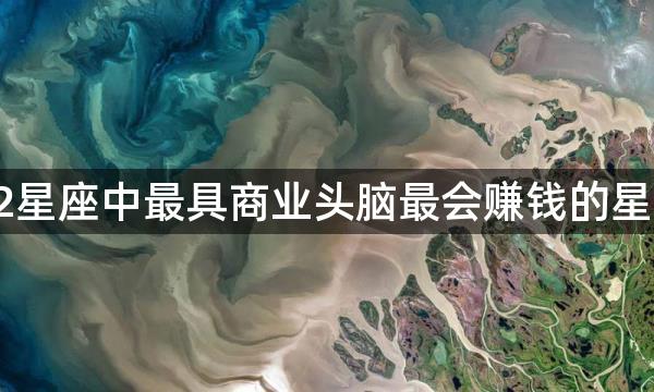 12星座中最具商业头脑最会赚钱的星座