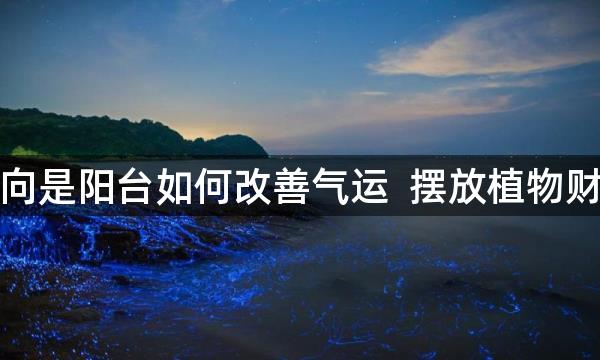 西北方向是阳台如何改善气运  摆放植物财气不断