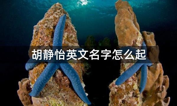 胡静怡英文名字怎么起