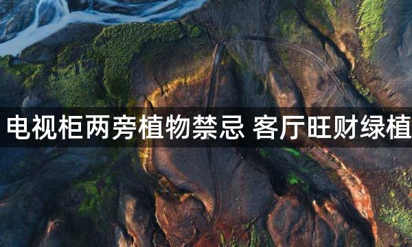 电视柜两旁植物禁忌 客厅旺财绿植