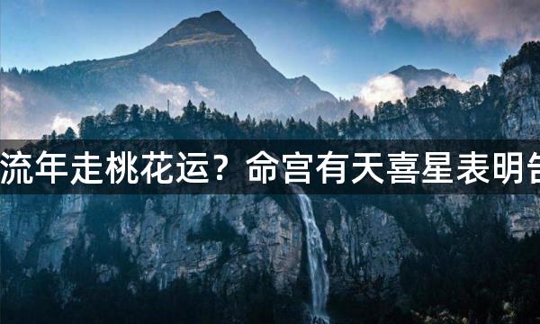 紫微斗数如何看流年走桃花运？命宫有天喜星表明告别单身有希望？