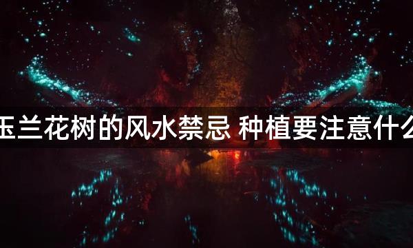 玉兰花树的风水禁忌 种植要注意什么