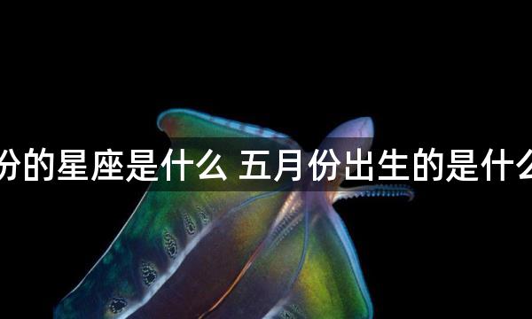 五月份的星座是什么 五月份出生的是什么星座