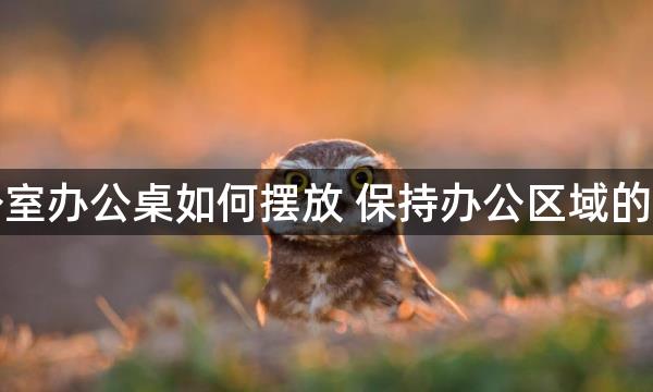 办公室办公桌如何摆放 保持办公区域的整洁