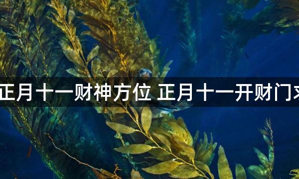 2023年正月十一财神方位 正月十一开财门求财吉时