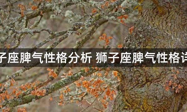 狮子座脾气性格分析 狮子座脾气性格详解