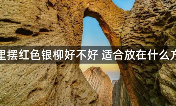 家里摆红色银柳好不好 适合放在什么方位