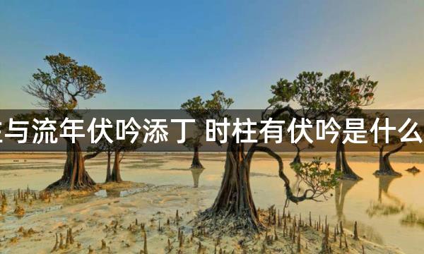 时柱与流年伏吟添丁 时柱有伏吟是什么意思