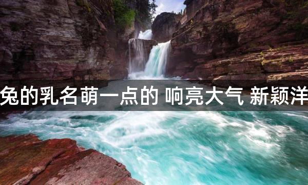属兔的乳名萌一点的 响亮大气 新颖洋气