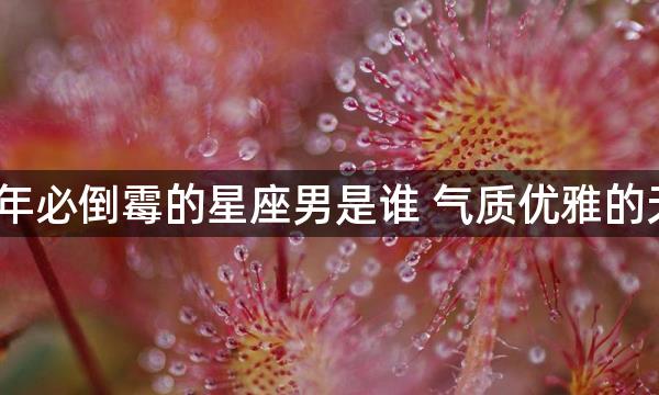 2022年必倒霉的星座男是谁 气质优雅的天秤男