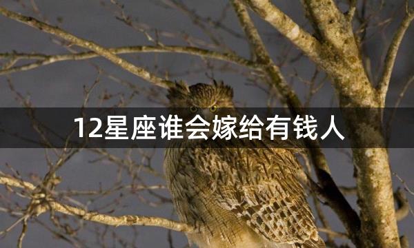 12星座谁会嫁给有钱人