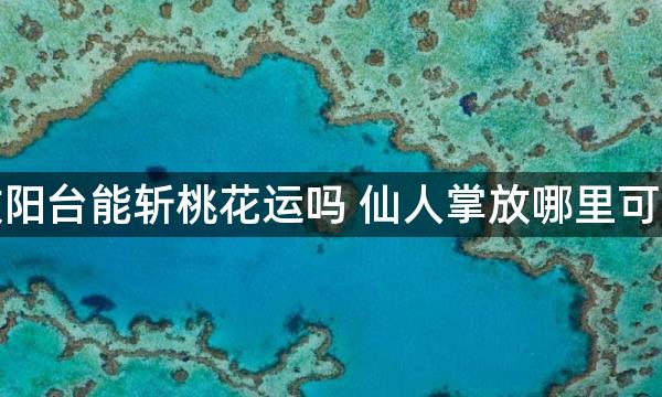 仙人掌放阳台能斩桃花运吗 仙人掌放哪里可以斩桃花