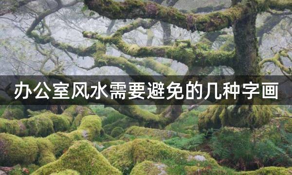 办公室风水需要避免的几种字画