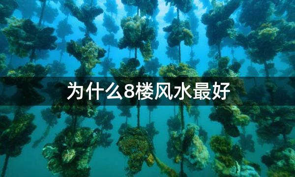 为什么8楼风水最好