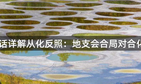 渊海子平白话详解从化反照：地支会合局对合化的影响(一)