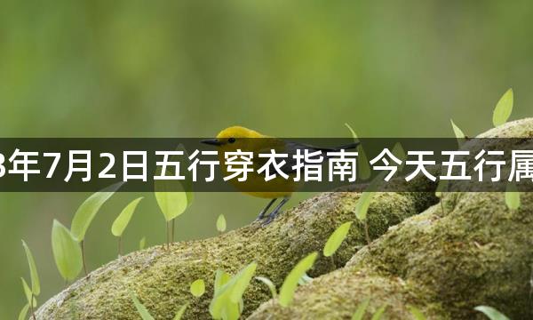 2023年7月2日五行穿衣指南 今天五行属什么