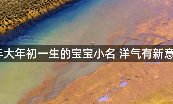 2023年大年初一生的宝宝小名 洋气有新意的名字