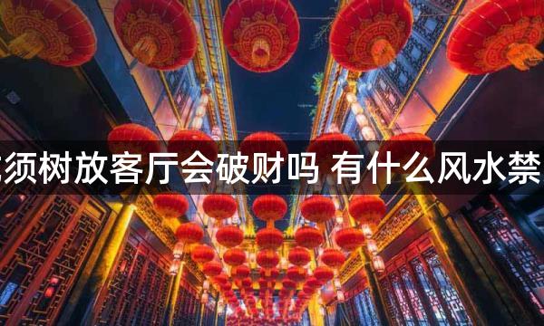 龙须树放客厅会破财吗 有什么风水禁忌