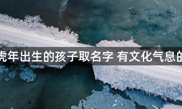 虎年出生的孩子取名字 有文化气息的