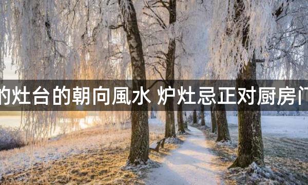 厨房的灶台的朝向風水 炉灶忌正对厨房门摆放