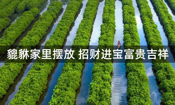 貔貅家里摆放 招财进宝富贵吉祥