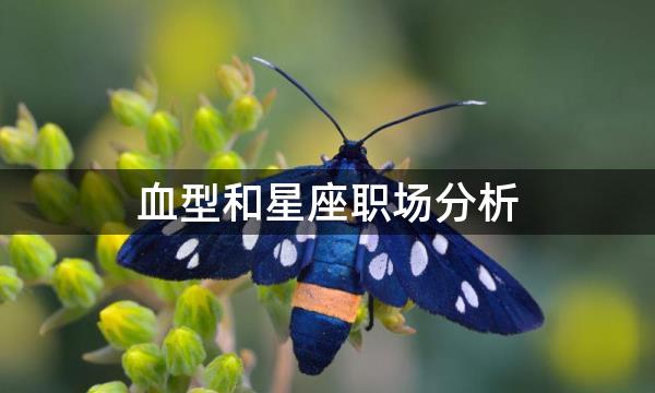 血型和星座职场分析