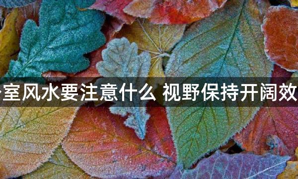 办公室风水要注意什么 视野保持开阔效率好