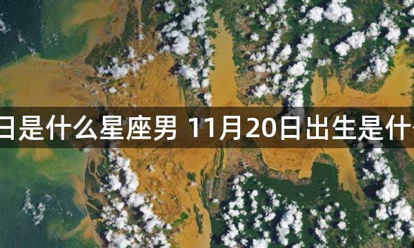 11月20日是什么星座男 11月20日出生是什么星座男