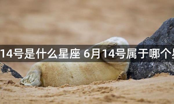 6月14号是什么星座 6月14号属于哪个星座