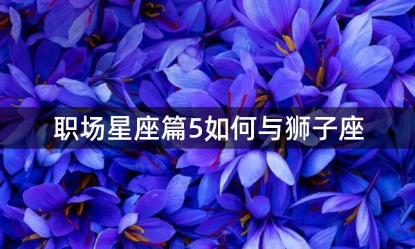 职场星座篇5如何与狮子座